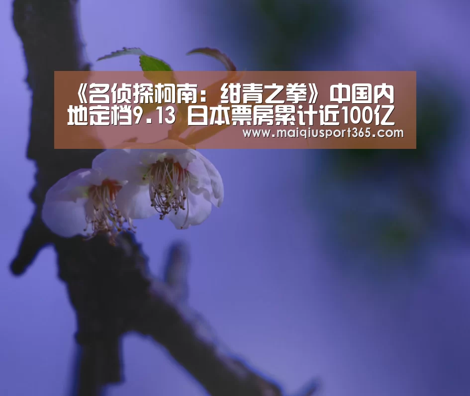 世界杯买球平台