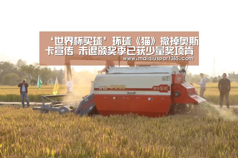 世界杯买球官网